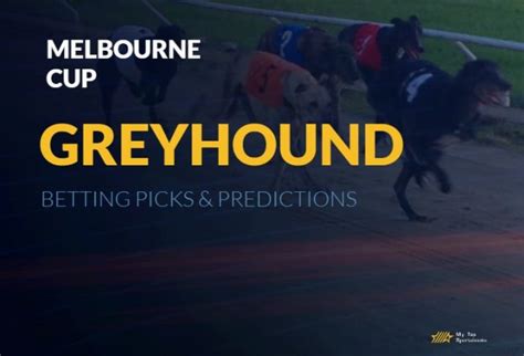2023 Melbourne Cup Odds & Betting Favourites.